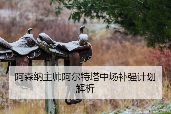 阿森纳主帅阿尔特塔中场补强计划解析